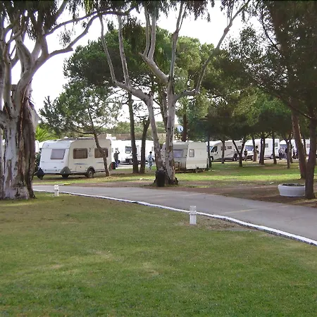 キャンプ場 Tres Estrellas