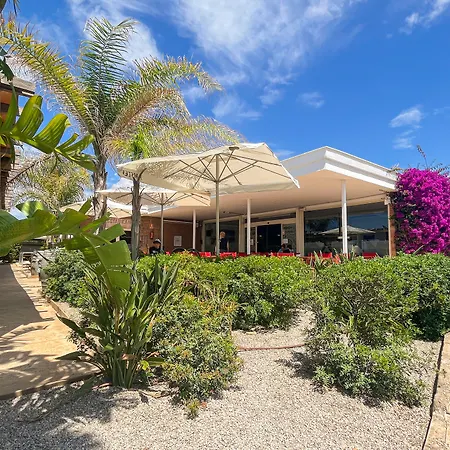 キャンプ場 Tres Estrellas