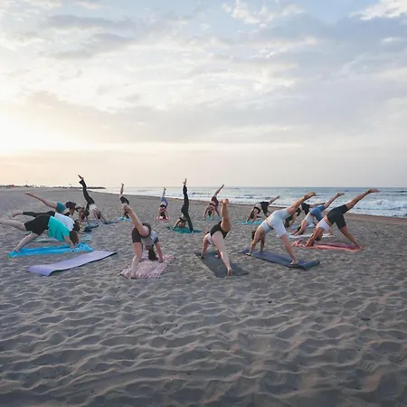 キャンプ場 Tres Estrellas 2*