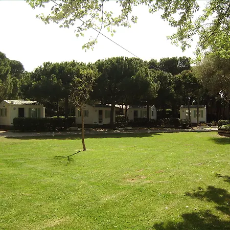 Tres Estrellas Barcelona By Holacamp